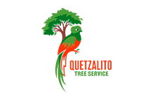 logo not found